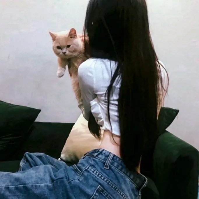 合众秩序